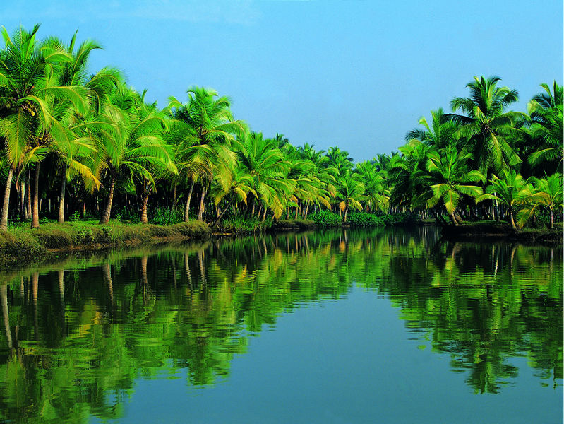 Zauberhaftes Kerala
