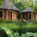 Somatheeram Ayurveda Resort